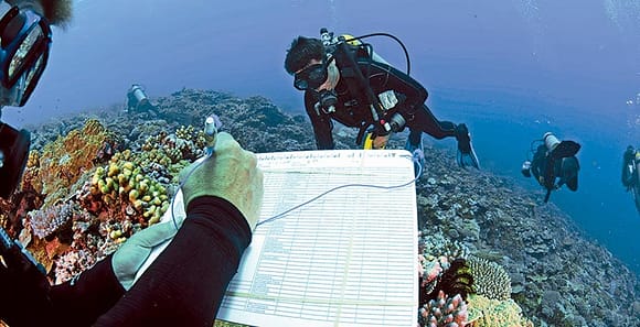 Photo of scuba divers