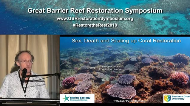 Dr Peter Harrison – sex, death and scaling up coral restoration - video thumbnail