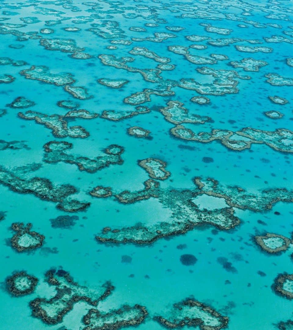 Aerial of Reef