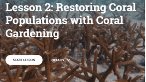 Coral restoration Training Course